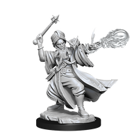 D&D Frameworks: Human Wizard Male - Unpainted and Unassembled