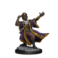 D&D Frameworks: Human Wizard Male - Unpainted and Unassembled