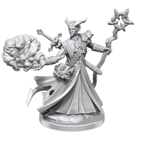 D&D Frameworks: Tiefling Warlock Male - Unpainted and Unassembled