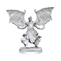 D&D Frameworks: Dragonborn Sorcerer Female - Unpainted and Unassembled