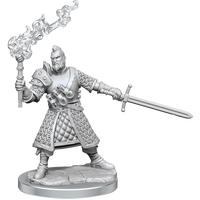 D&D Frameworks: Human Fighter Male - Unpainted and Unassembled