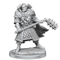 D&D Frameworks: Human Fighter Male - Unpainted and Unassembled