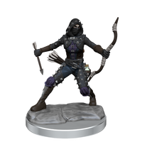 D&D Frameworks: Human Rogue Female - Unpainted and Unassembled