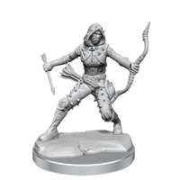 D&D Frameworks: Human Rogue Female - Unpainted and Unassembled