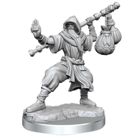 D&D Frameworks: Human Monk Male - Unpainted and Unassembled