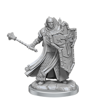 D&D Frameworks: Human Cleric Male - Unpainted and Unassembled