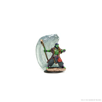 D&D Icons of the Realms Premium Figures: Water Genasi Druid Male