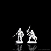 BACK-ORDER - D&D Nolzur's Marvelous Miniatures - Vampire Hunters