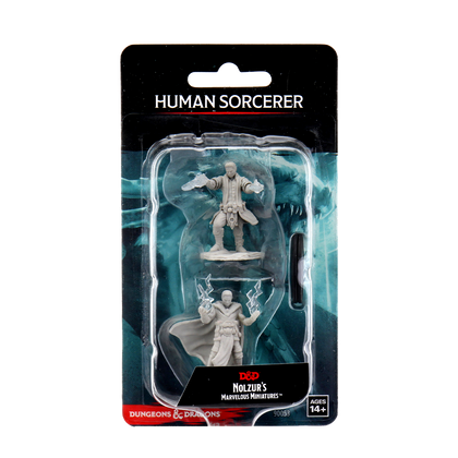 D&D Nolzur's Marvelous Miniatures: Male Human Sorcerer - 1